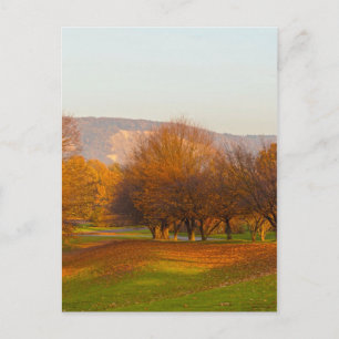 Parc de Rheinaue Carte postale