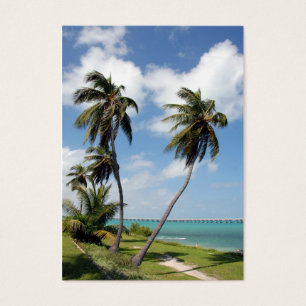parc d'état du Bahia Honda et pont de sept milles