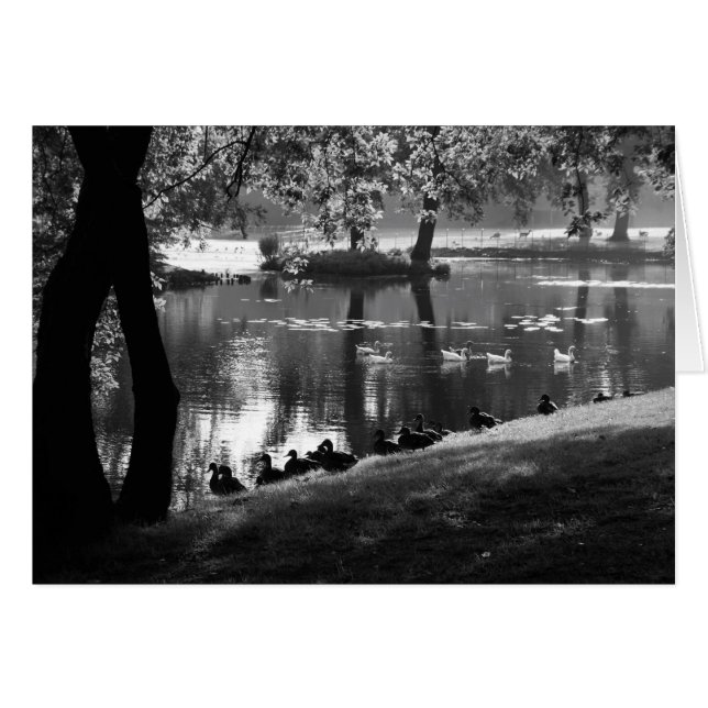 Parc Life gccan (Devant horizontal)