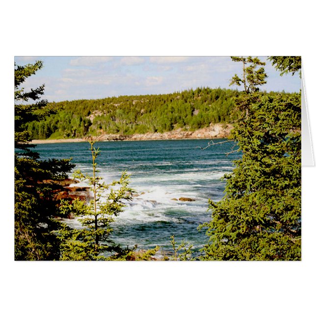 Parc national d'Arcadia à travers les arbres (Devant horizontal)