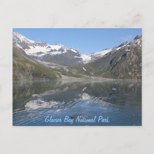 Parc national de Glacier Bay, Alaska Carte postale (Devant)