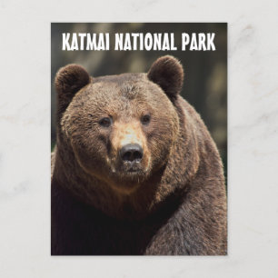 PARC NATIONAL DE KATMAI PORTEZ GRIZZLY CARTES POST