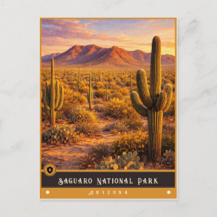 Parc national de Saguaro Carte postale ancienne