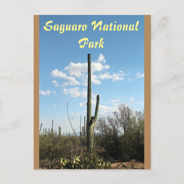 Parc national de Saguaro, carte postale de Tuscon (Devant)