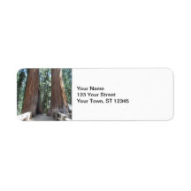 Parc national de Sequoia