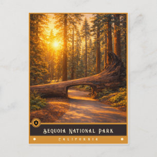 Parc national de Sequoia Carte postale ancienne