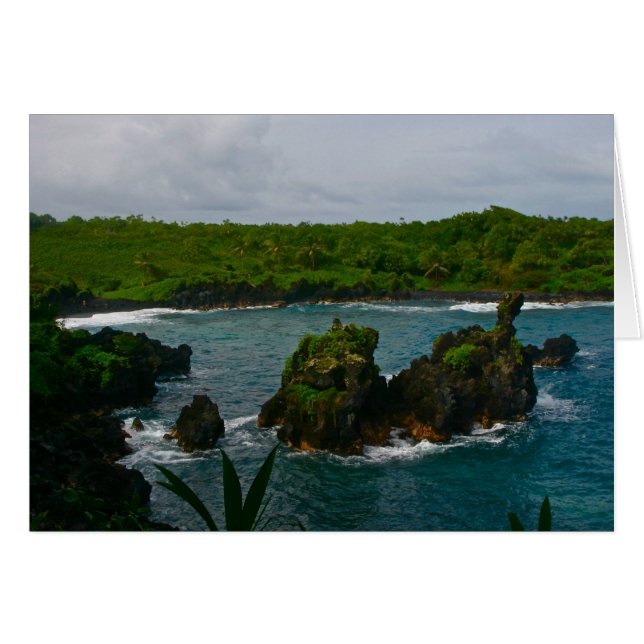Parc national de Waianapanapa, Maui (Devant horizontal)