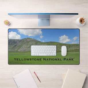 Parc national de Yellowstone Green Meadow Photo