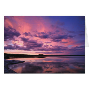 Parc national de Yellowstone, Wyoming.États-Unis