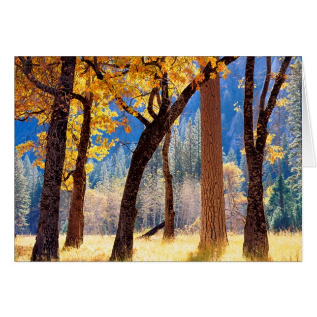 Parc national de Yosemite (Devant horizontal)