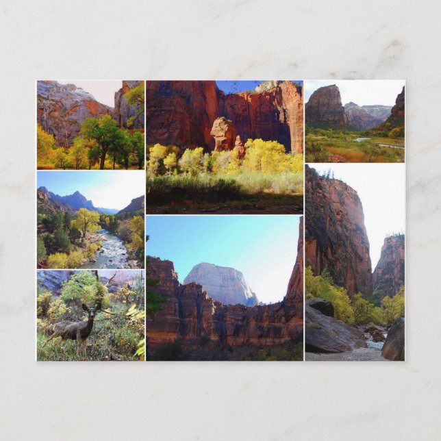 Parc national de Zion, Utah, Carte postale Collage (Devant)