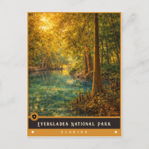 Parc national des Everglades Carte postale ancie
