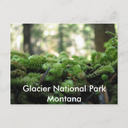 Parc national des Glaciers, Montana Mossy Carte po