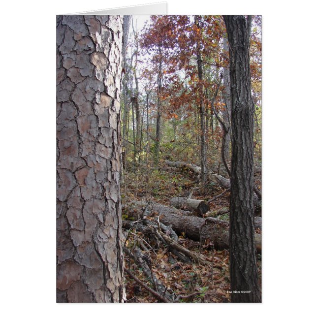 Parc national des sources chaudes Mt., chemin AR P (Devant)