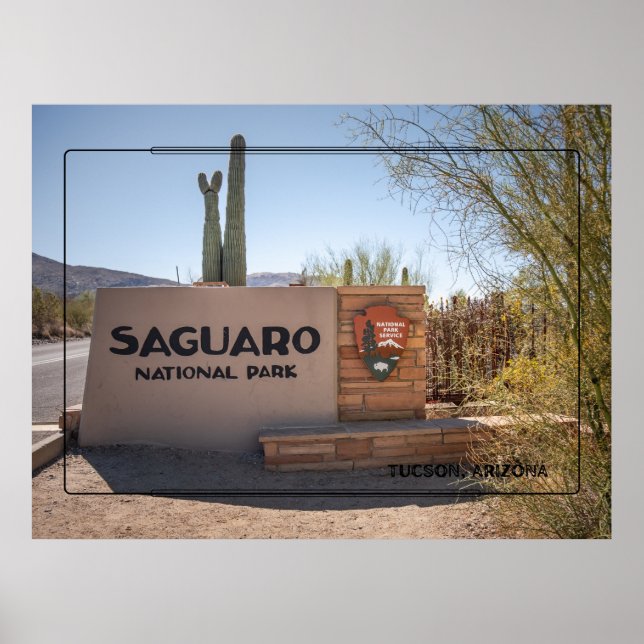 Parc national du Saguaro - Arizona Desert Poster (Devant)