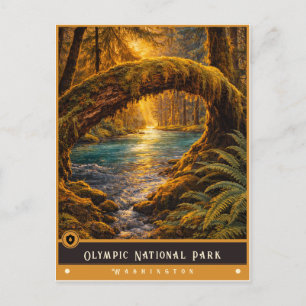 Parc national Olympique   Carte postale ancienne