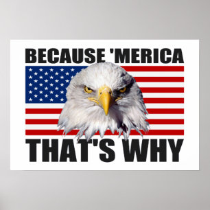 PARCE QUE 'MERICA C'EST POURQUOI US Drapeau Poster