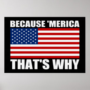 PARCE QUE 'MERICA C'EST POURQUOI US Drapeau Poster