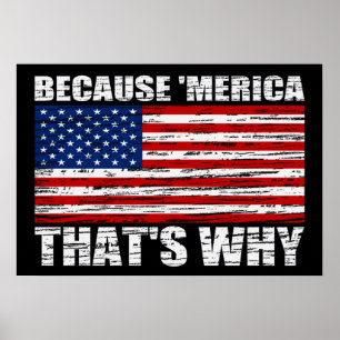 PARCE QUE 'MERICA C'EST POURQUOI US Drapeau Poster