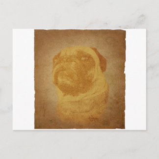 Parchment Pug Postcard