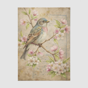 Parchment with Bird on Branch with Pink Blossoms Tissue Paper
