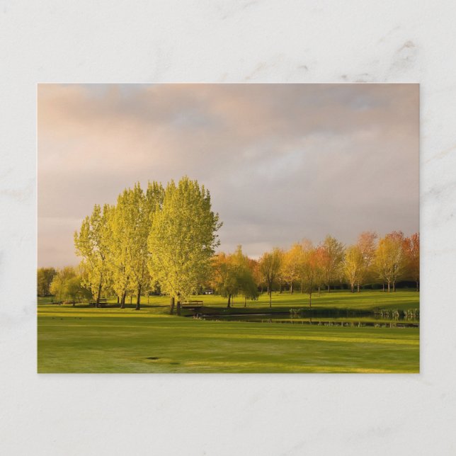 Parcours de golf en Automne Carte postale (Devant)