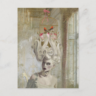 Pardon Madame, Postcard