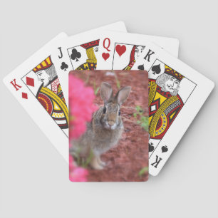 Pardonnez-moi des cartes de jeu de lapin