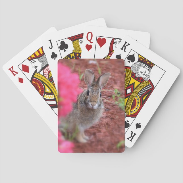 Pardonnez-moi des cartes de jeu de lapin (dos)