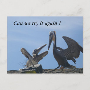 Pardonnez-moi/ Sortez avec moi_ Carte postale