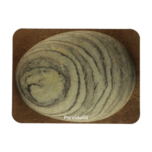 Pareidolia Magnet (Horizontal)