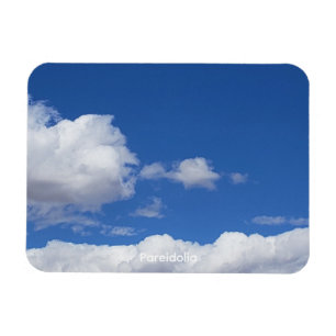 Pareidolia Magnet