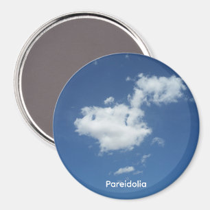 Pareidolia Talking Canyons, New Mexico Magnet