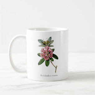 Parfums doux de l'été : Rhododendron viscosum Mug