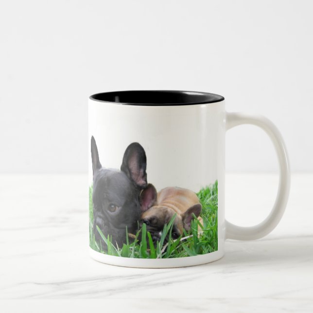 Paris and Monaco in the grass Two-Tone Coffee Mug (Right)