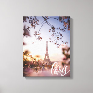 Paris Canvas Print