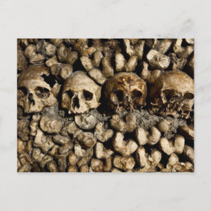 Paris Catacombs Skulls and Bones Postcard