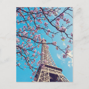 Paris Eiffel Tower Blooms in Springtime Postcard
