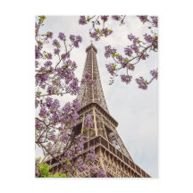 Paris Eiffel Tower in Springtime Photo Postcard