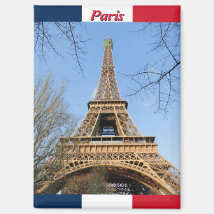 Paris, France, 2011 Magnet