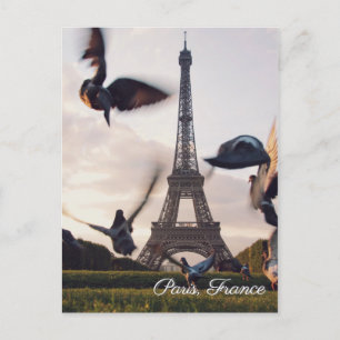 Paris France Eiffel Tower travel postcard