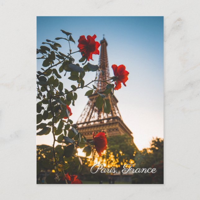 Paris France Eiffel Tower travel postcard (Front)