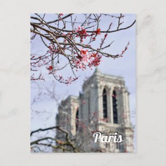Paris France travel photo Postcard