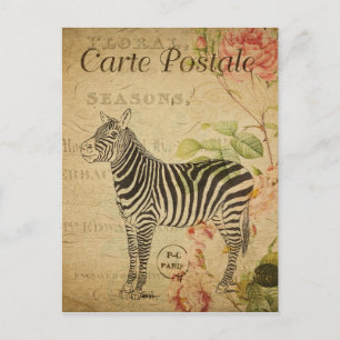Paris France Vintage Zebra Travel Postcard