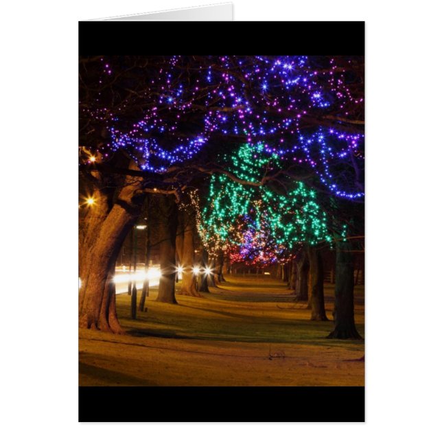 Paris Lighted Trees (Front)