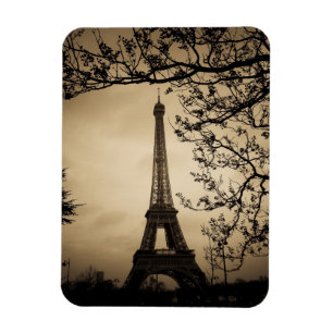 Paris Magnet