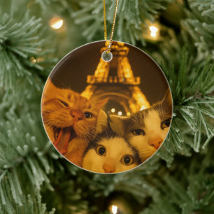 Paris Night Cat Selfie Squad Lover Ceramic Ornament