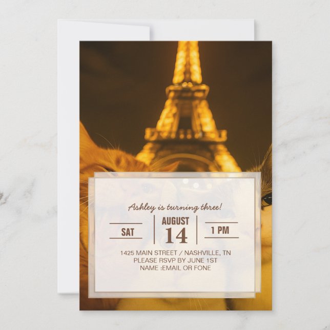Paris Night Cat Selfie Squad Lover                 Invitation (Front)