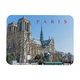 Paris Notre Dame Cathedral view fridge magnet