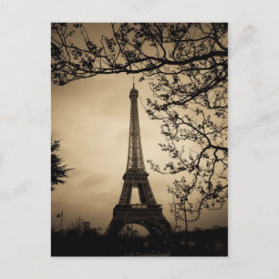 Paris Postcard